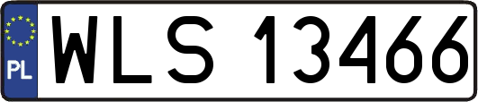 WLS13466