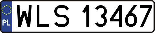 WLS13467