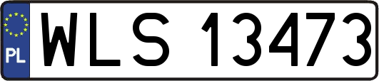 WLS13473