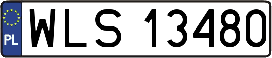 WLS13480