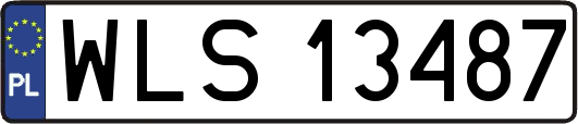 WLS13487