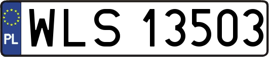 WLS13503