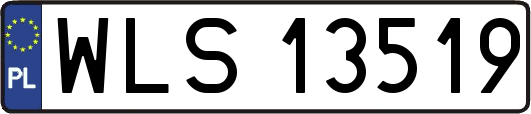 WLS13519