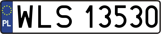WLS13530