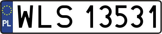 WLS13531