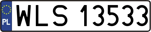 WLS13533