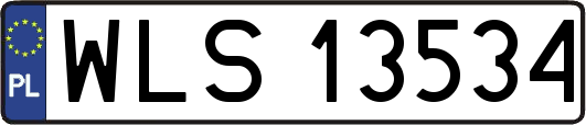 WLS13534