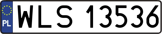 WLS13536