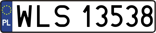 WLS13538
