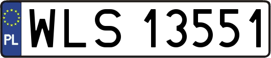 WLS13551