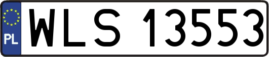 WLS13553