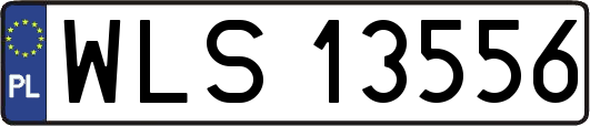 WLS13556