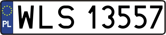 WLS13557