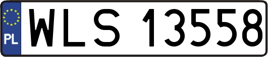 WLS13558