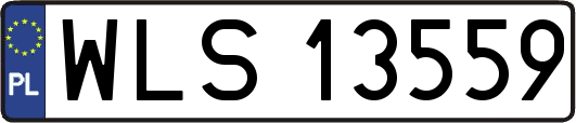 WLS13559