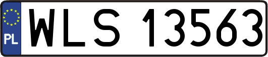 WLS13563