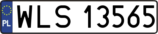 WLS13565