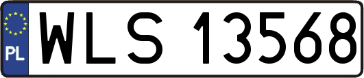 WLS13568