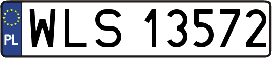 WLS13572