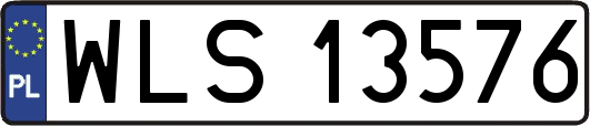 WLS13576