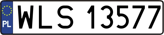 WLS13577