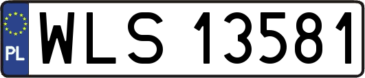 WLS13581