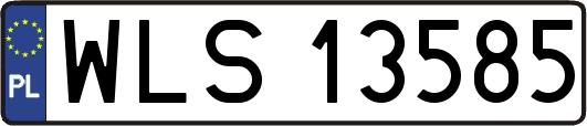 WLS13585