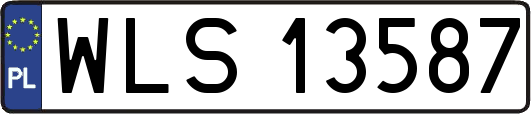 WLS13587
