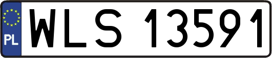 WLS13591