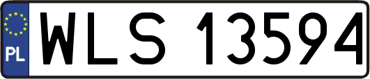 WLS13594