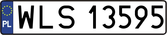 WLS13595