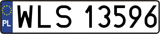 WLS13596
