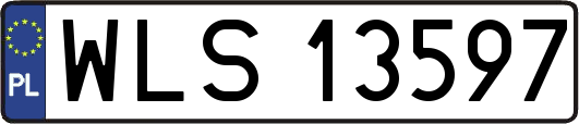 WLS13597