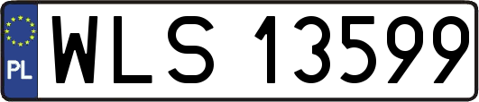 WLS13599