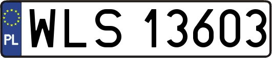 WLS13603
