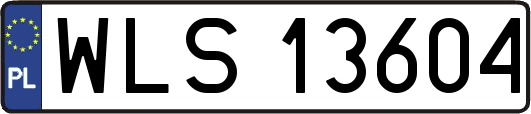 WLS13604
