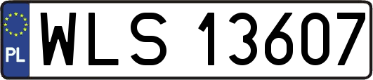 WLS13607