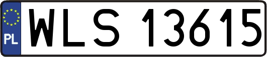 WLS13615