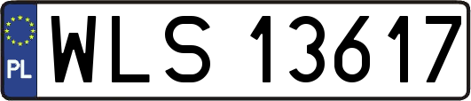 WLS13617