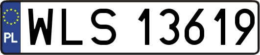 WLS13619