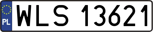 WLS13621
