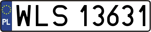 WLS13631