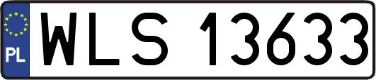 WLS13633