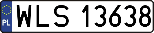 WLS13638
