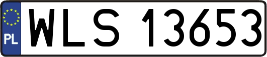 WLS13653