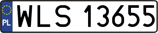 WLS13655