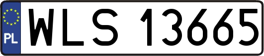 WLS13665