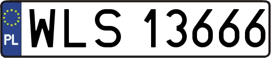 WLS13666