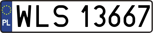WLS13667