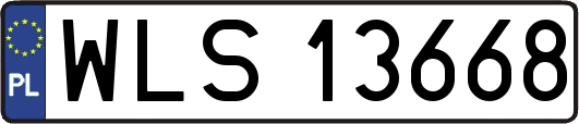 WLS13668